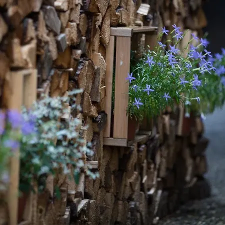 アルペンルー ミューレン