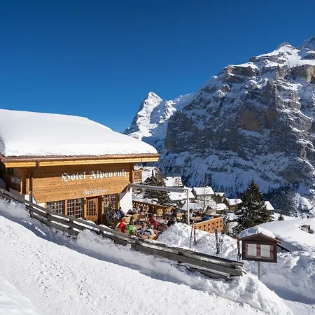 Hotell Alpenruh Mürren