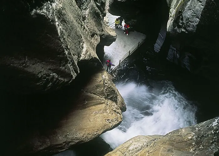 酒店 阿尔彭酒店 3*